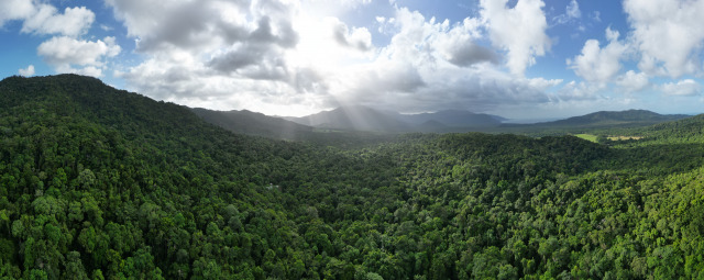 dji_fly_20230714_155336_656_1689333626302_pano